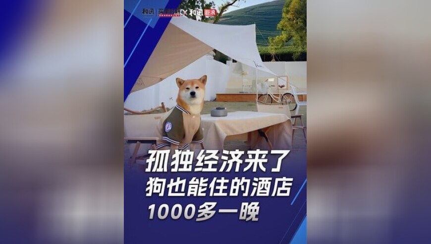 连续72小时不睡觉大脑会发生什么,九龙高手心水资料论坛,决策资料解释落实_界面版V7.1