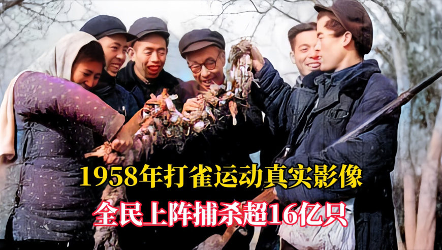 中国经济的暖意、新意、诚意,管家婆一肖一码四柱资料大全,国产化作答解释落实_高级版V5.2